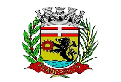 Prefeitura Municipal de Pradópolis - SP